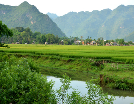 view from bungalows