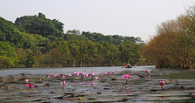 dong-suoi-yen-chua-huong